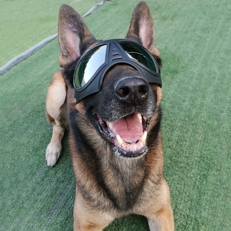 New pet mask glasses waterproof and snow-proof soft frame goggles dog supplies sunglasses sunglasses manufacturers