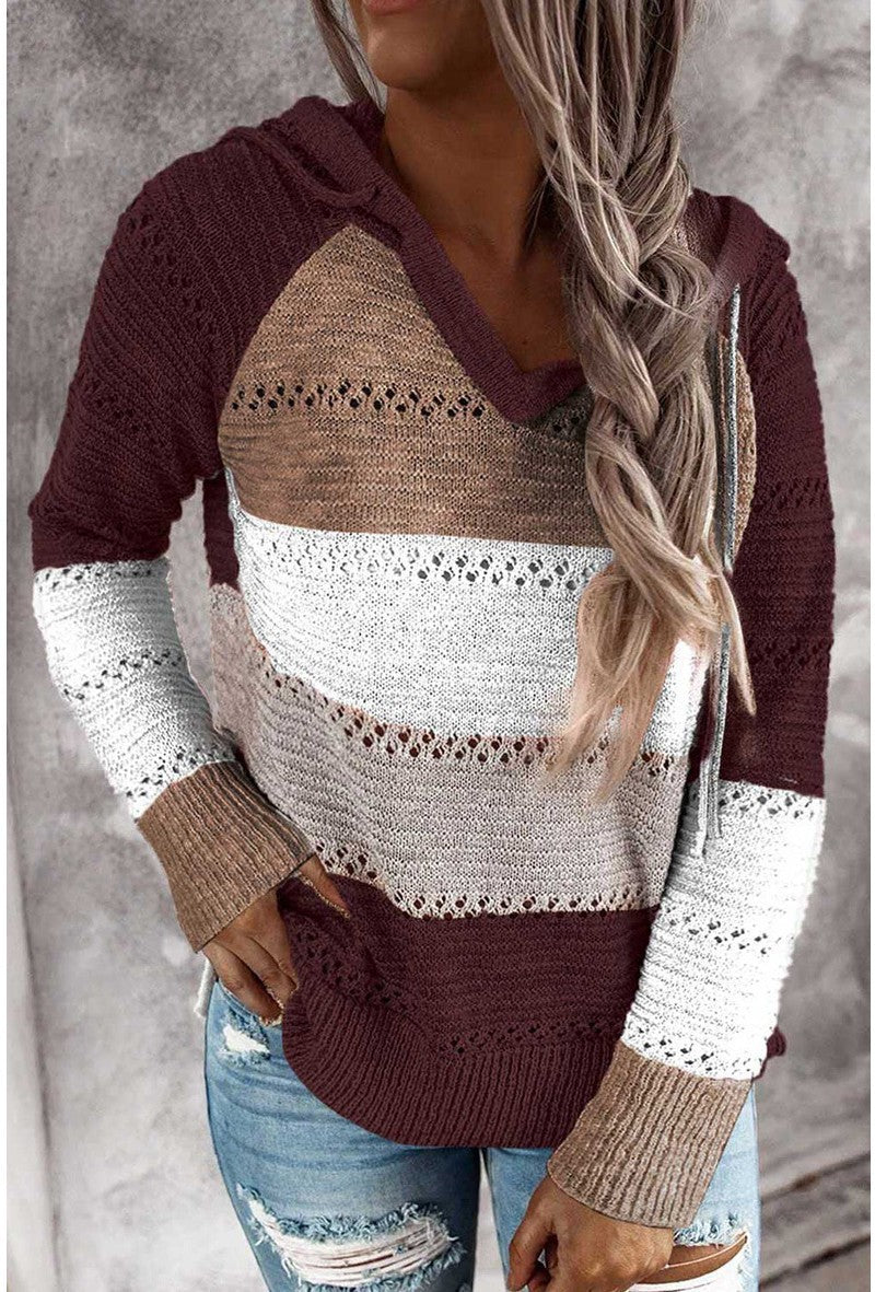 2020 cross-border foreign trade original order wish Amazon ebay autumn and winter new zipper hooded long-sleeved sweater