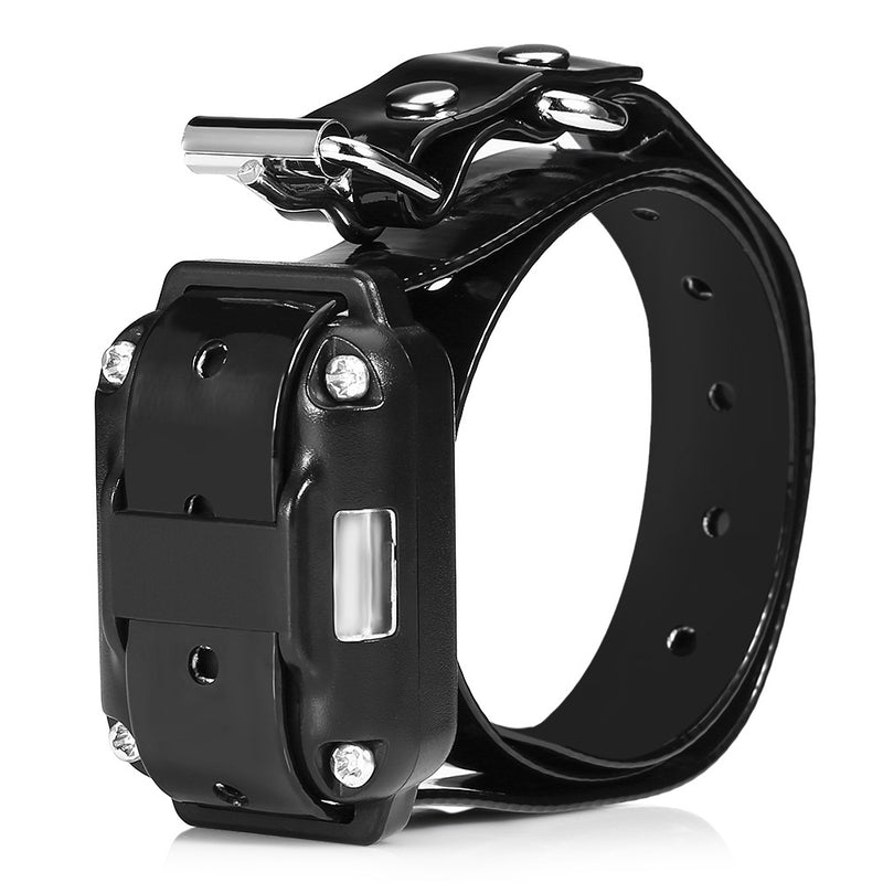 Dog training device anti-bark device pet supplies collar dog training device remote control dog collar pet voice control anti-bark device original factory