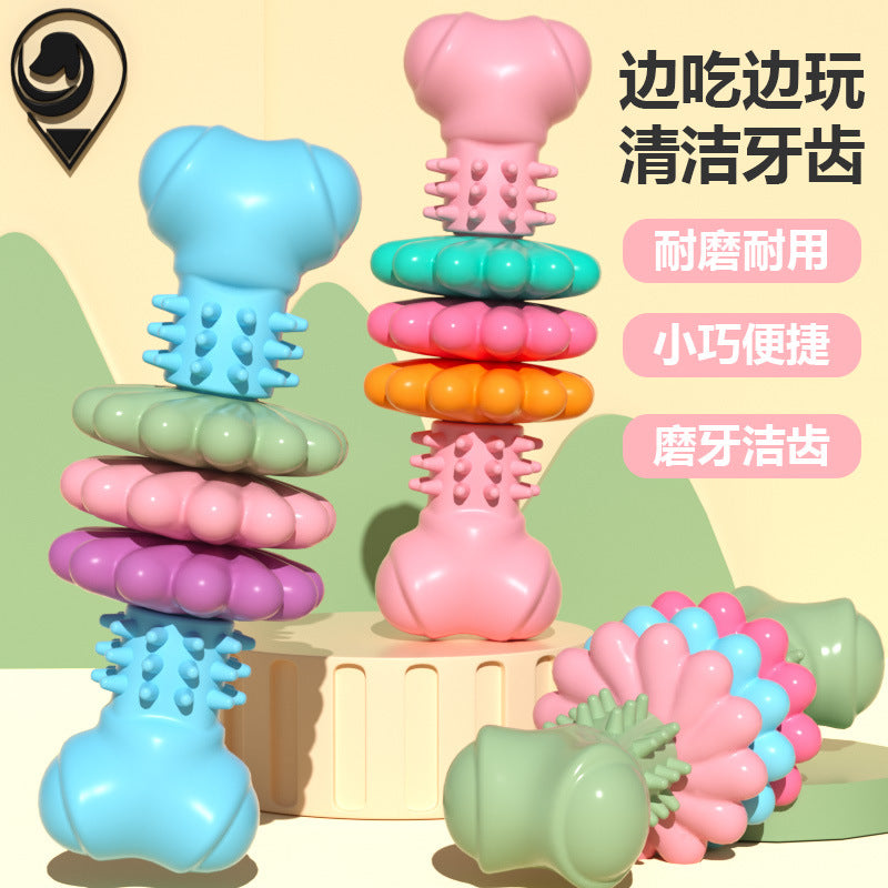 New Arrival Pet Toy Dog Toy TPR Bone Type Succulent Biting Bite Resistant Molar Toy Set