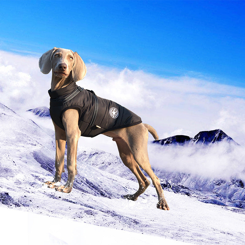 Dog clothes for medium and small dogs vest-style traction rope dog leash Teddy dog chain dog walking rope pet chest harness
