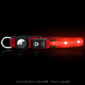 Hot selling airtag protective case positioning tracker case waterproof LED pet light-up collar protective case USB charging