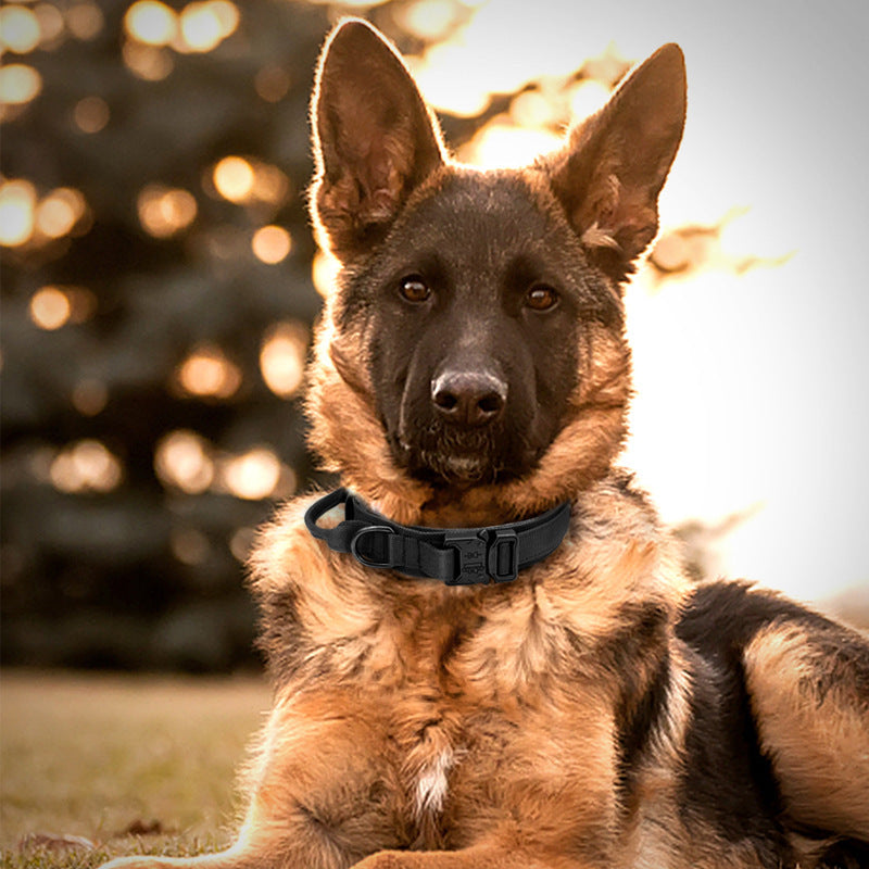 Amazon Explosive Tactical Collar Leash Pet Collar Nylon Medium and Large Dog Army Dog Training Dog Collar