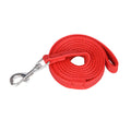 New product explosion-proof punching telescopic elastic rope reflective pet leash foam cotton handle does not strangle the hand dog chain walking dog leash
