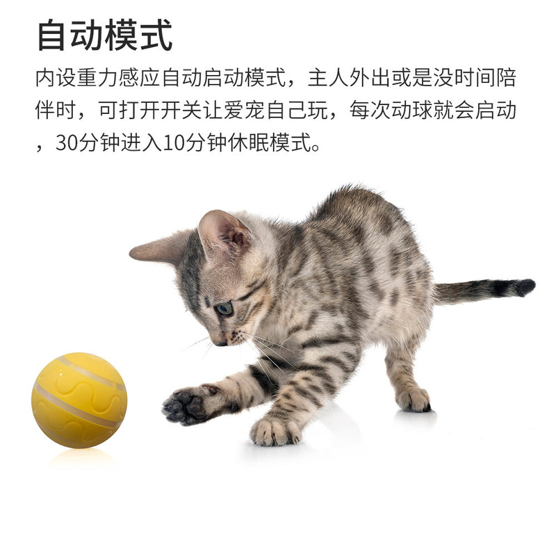 Amazon popular wicked ball new bite-resistant pet toy automatic dog toy ball electric smart ball