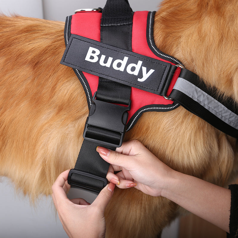 Manufacturers cross-border vest-style dog chest strap traction rope medium and large dogs walking leash dog belt pet supplies spot