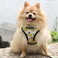 Ins popular dog small and medium-sized dog pet French Dou breathable breathable mesh traction rope French Dou outdoor harness