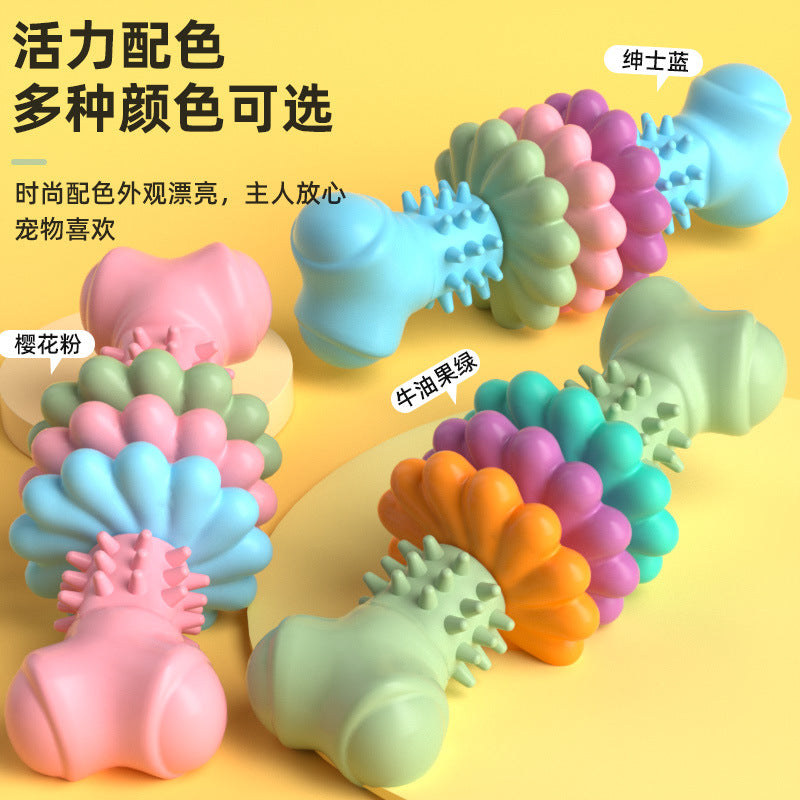New Arrival Pet Toy Dog Toy TPR Bone Type Succulent Biting Bite Resistant Molar Toy Set