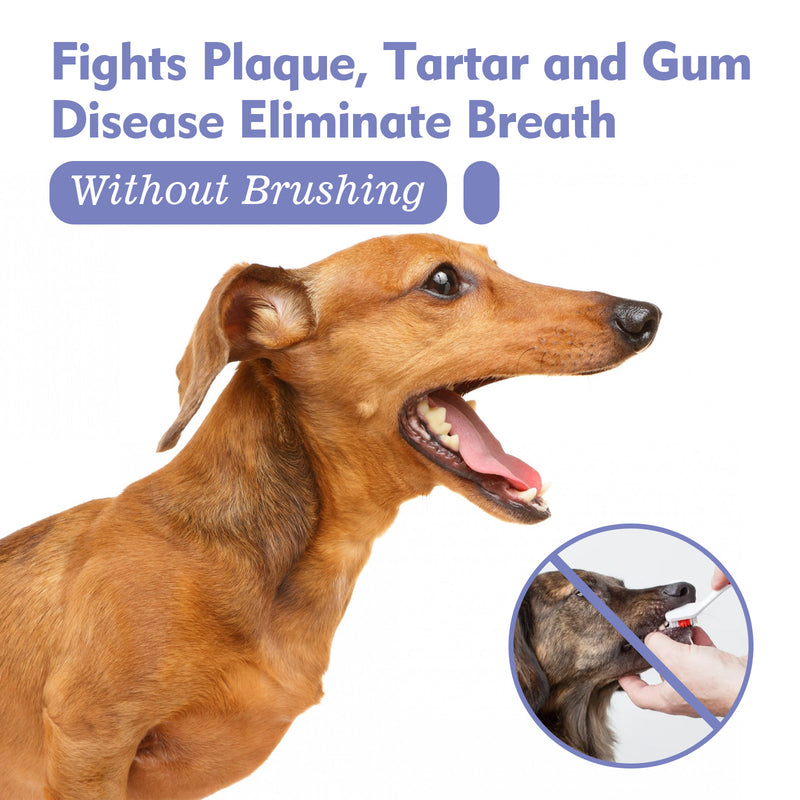 Yegbong Pet Oral Spray Cats and Dogs Breath Fresh Deodorizing Gingival Tartar Calculus Oral Care